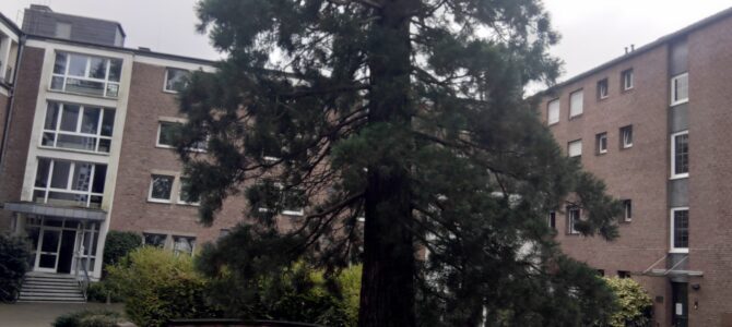 Kloster Salvatoris in Kerpen Horrem wird Haus der Bildung – Tag der offenen Tür vor dem Umbau am 2.11.2024 zeigt Potenzial